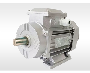 YE3 series aluminum motor